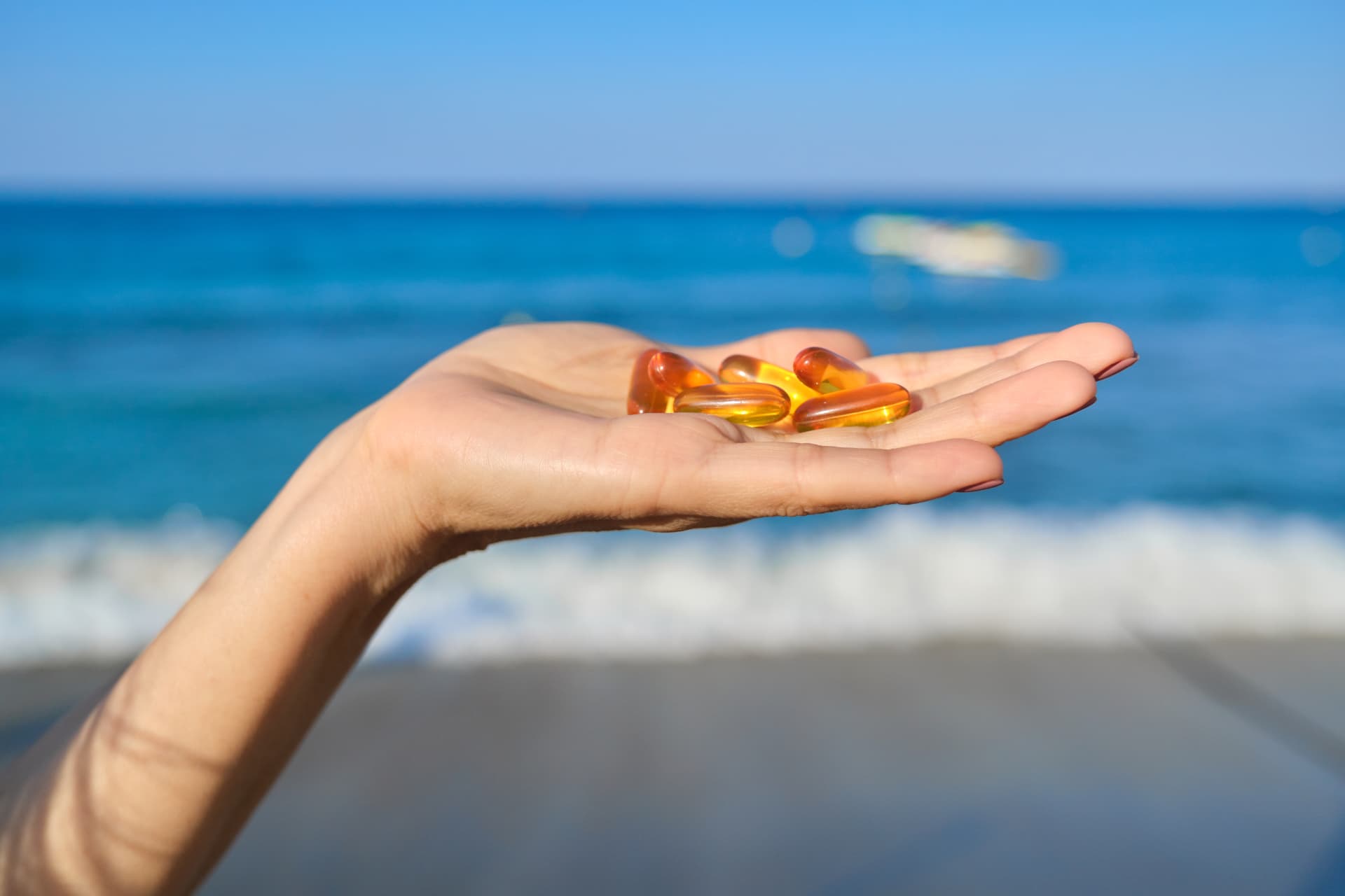 Additional Services and Supplements